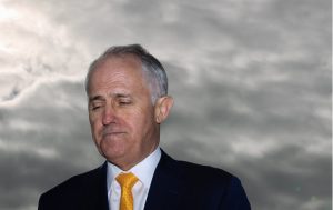 Malcolm Turnbull