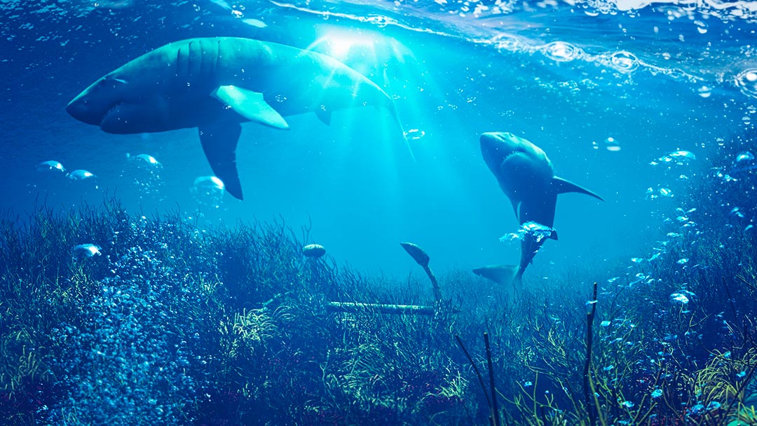 Sneaky Reef hand-out a half-a-billion-dollar symptom of broken government