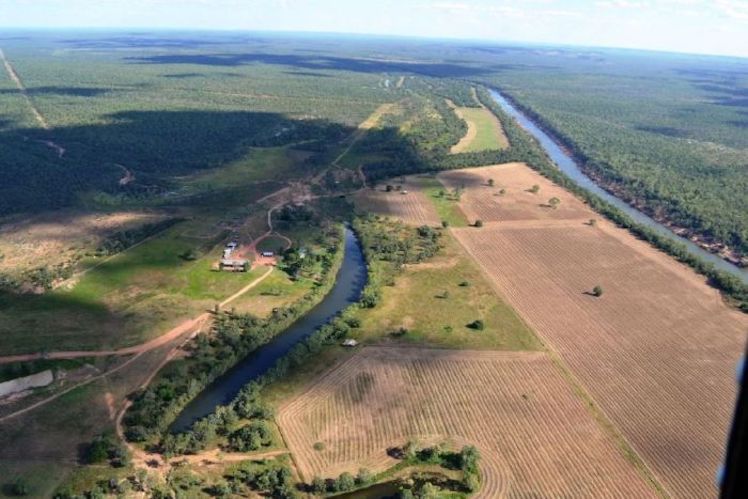 Big Cotton eyes off the wild rivers of Northern Australia