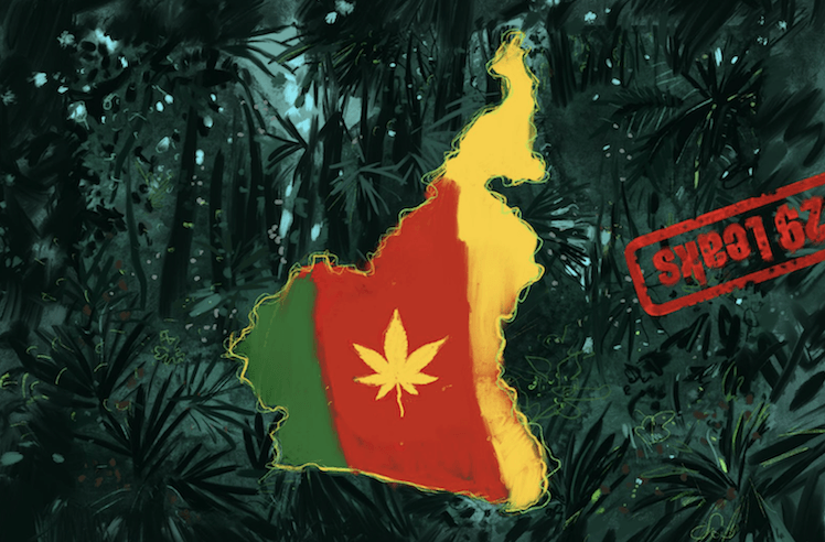 #29Leaks Pipe Dream: The African cannabis empire that never was