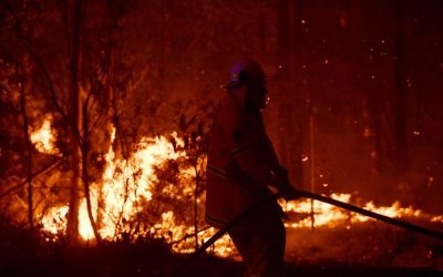 Who Pays: should ordinary taxpayers foot the bill for bushfires or the fossil fuel giants who pay no tax?