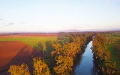 Vickery Vexation: local council pitted against new coal mine
