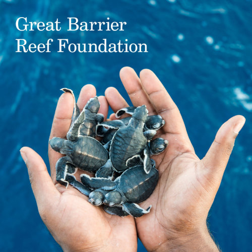 Great Barrier Reef Foundation grant