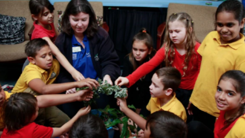 Closing the Gap, Scott Morrison