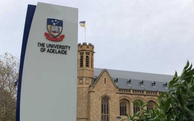 Universities in crisis amid savage cuts to staff and services but, hey, big profits are back
