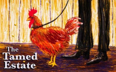 Banquet of the Chooks: MYEFO budget leaks gobbled up in media feeding frenzy