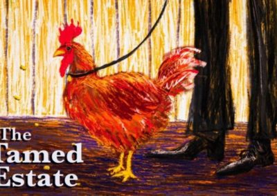 Tamed Estate: arrest of FriendlyJordies producer attests to dangerous state of democracy