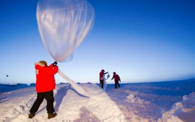 Australia’s environmental scientists intimidated, silenced by threats of job loss