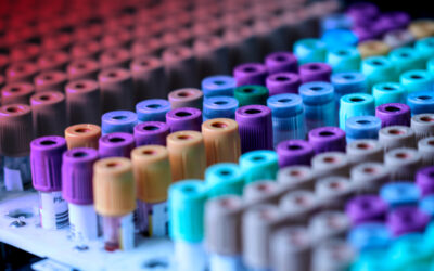 Red Cross defied basic principles of blood safety by recruiting Hepatitis C-infected donors