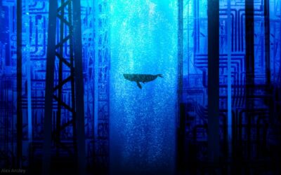 Regulators ignore marine noise pollution from oil drilling