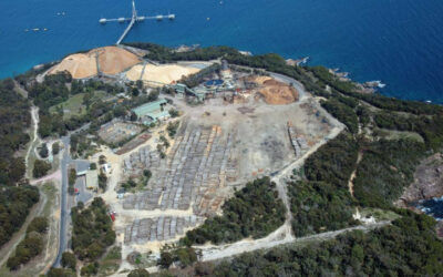 Dan Andrews’ pledge to end logging threatened by rising Allied wood-chip monopoly