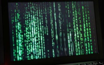 Digital Slaves: how Big Tech tracks us for profit