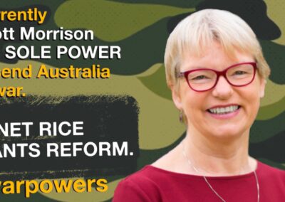 Janet Rice on war powers reform