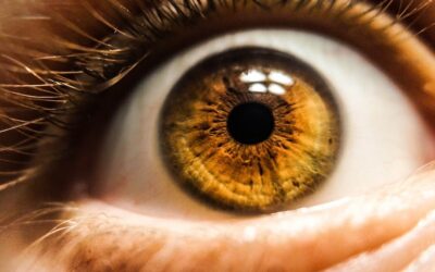 Australia’s creeping surveillance state: Big Brother is on the march