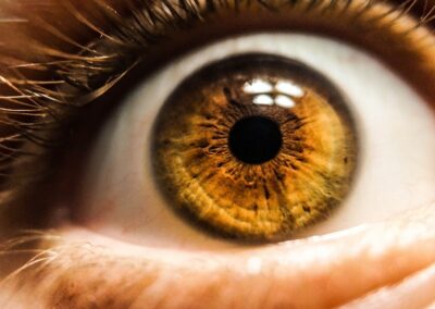 Australia’s creeping surveillance state: Big Brother is on the march