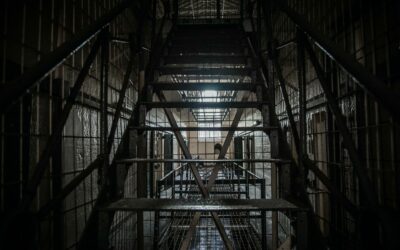 Profits of punishment: the big business of Australia’s private prisons 