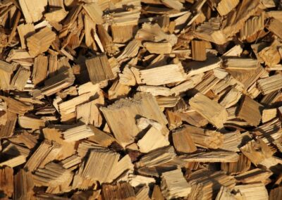 Wood for the Trees: rush to green hydrogen masks mammoth plans to wood-chip the forests