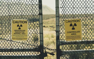 IKEA it ain’t: don’t go looking for friendly nuclear option, no matter the spin