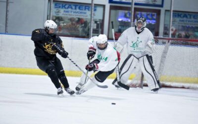 Corporate chicanery unveiled, Ice Hockey Australia supremo gets iced