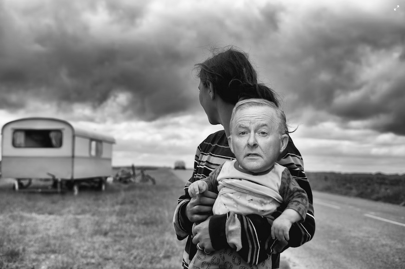 Anthony Albanese, Albo