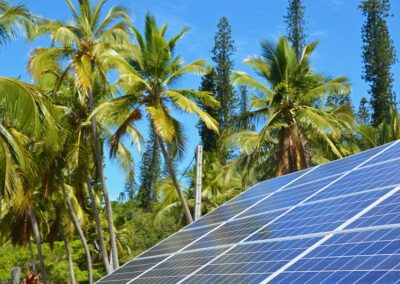 Revealed: Australia’s true emissions concealed, corporates “double-count” household rooftop solar