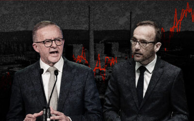 Albanese returns from his honeymoon, bumps into Adam Bandt