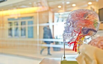 A sickening thought: medical fund secrecy is a corruption incubator