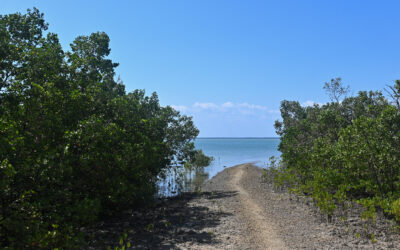 Through hell and high water: Torres Strait Islanders fight for their home 