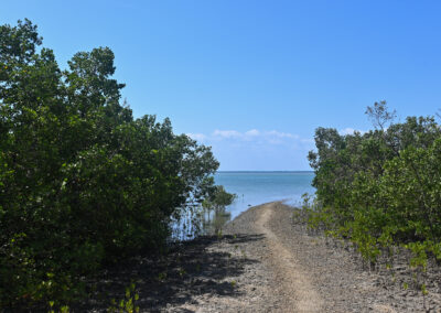 Through hell and high water: Torres Strait Islanders fight for their home 