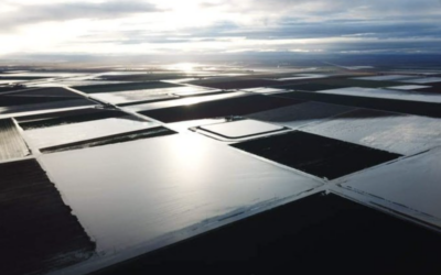 Farmers betrayed by government, Shell, PetroChina “fairytales” as prime land damaged by gas fracking