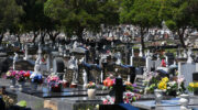 Rookwood cemetery
