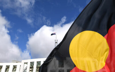 Want to give First Nations real power in Canberra? Rex Patrick reckons a vote is preferable to a Voice