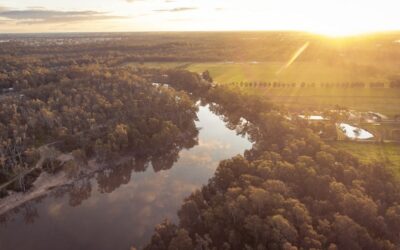 Plibersek Pressure: extend a $13bil dud, or deliver Murray Darling Basin Plan 2.0?