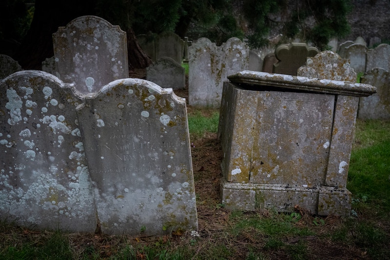 Chris Minns, Daniel Mookhey, Invocare, CMCT, cemeteries