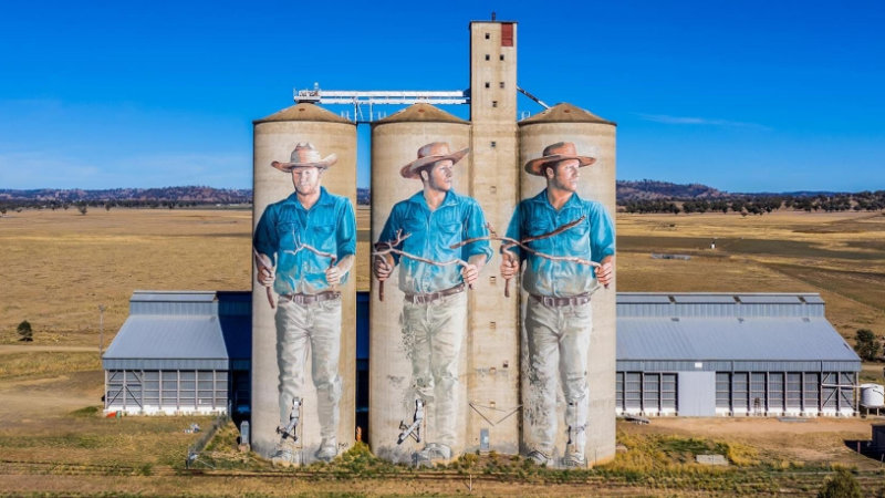 Barraba Silo Art