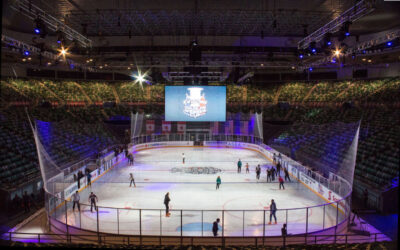 The Matildas extolled, Diamonds ignored … but ice hockey? Grassroots funding the goal