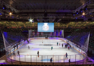 The Matildas extolled, Diamonds ignored … but ice hockey? Grassroots funding the goal