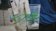 Safeguard Mechanism, greenwashing