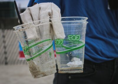 Network of influence: is the carbon credits elite prolonging fossil fuels?