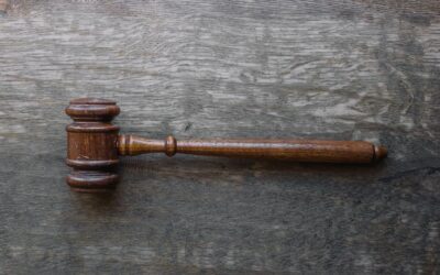 Appeal for Transparency: Rex Patrick takes secrecy fight to the Full Federal Court