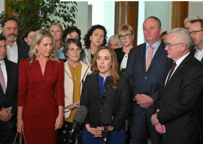 Jail, then jail, and more jail. Labor’s Assange strategy revealed.