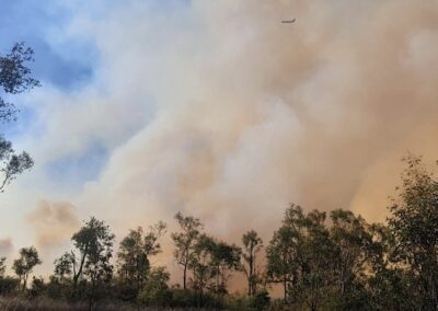 Albo’s Secret Hose: bureaucrats block bushfire info as Australia braces for a deadly summer