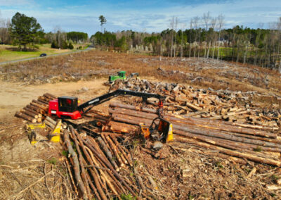 NSW Forestry Corporation is losing money, risking the environment, yet logging continues