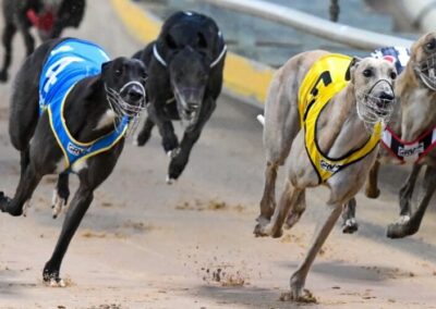 Murphy Report on gambling reform delayed by sports bet lobby