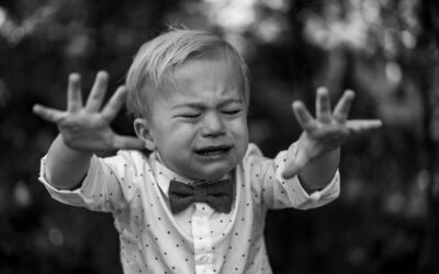 Fossil Cry. Give us hand-outs or you might get black-outs, says EnergyAustralia
