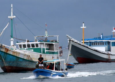 Sex and the sea slugs. Indonesian boat-people invasion is more about sea cucumbers