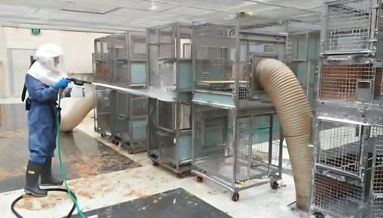 Cleaning a row of primate housing units