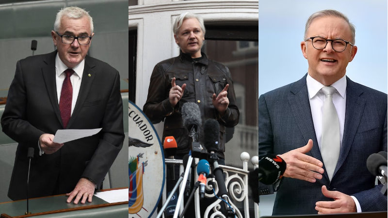 Wilkie Assange Albanese