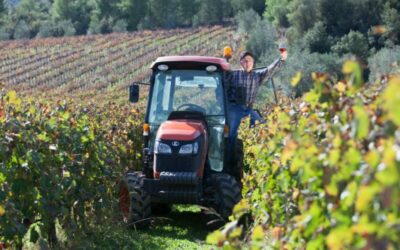 The Big Two: winemakers squeezed from both sides by Coles and Woolworths