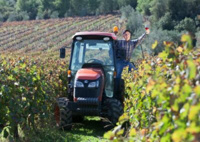 The Big Two: winemakers squeezed from both sides by Coles and Woolworths